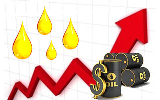 Oil Price rises